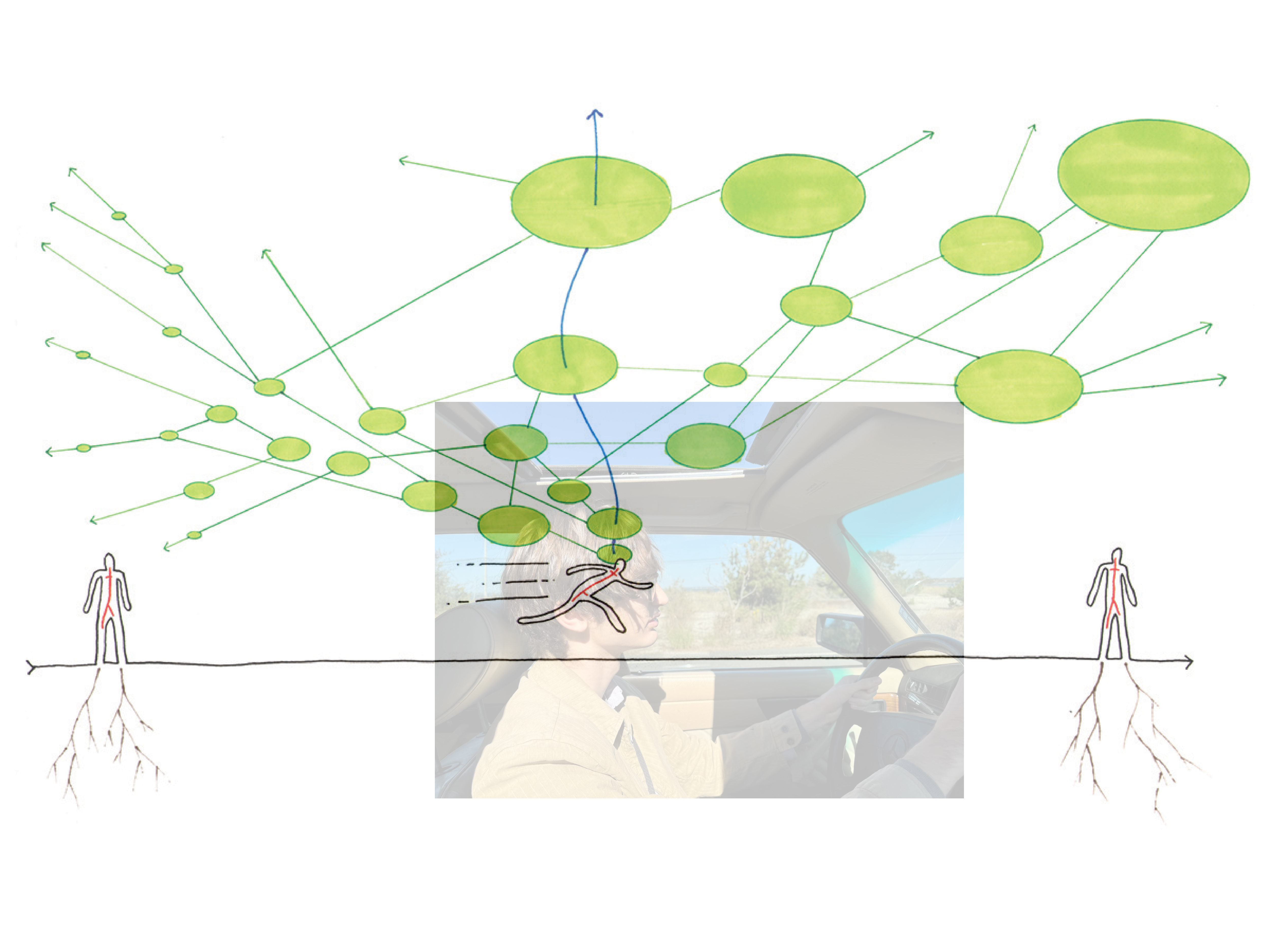 rhizomatic flaneur